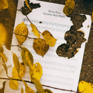 Sirius Eyes Autumn Rain Waltz